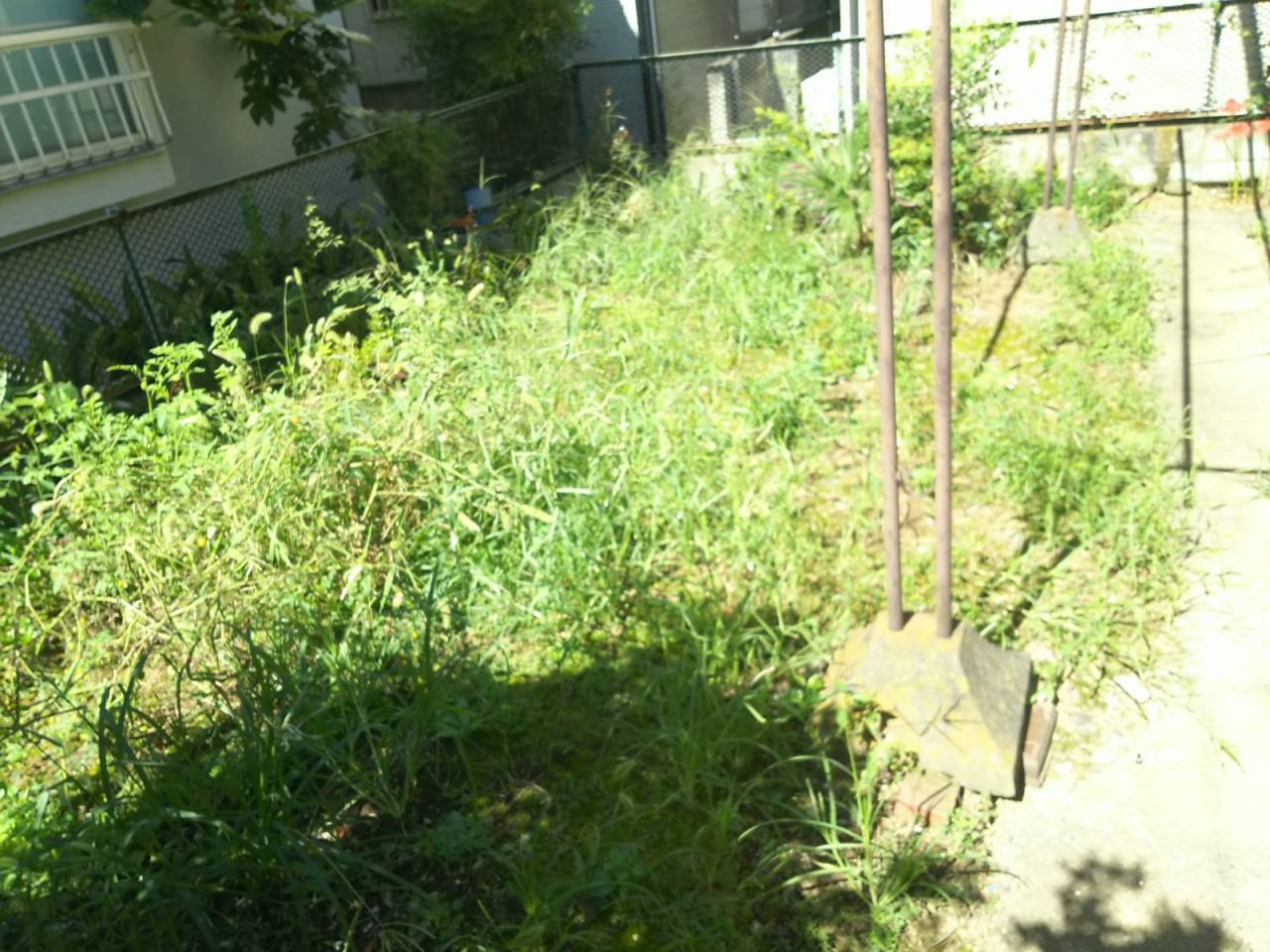 時間制定額(除草作業)