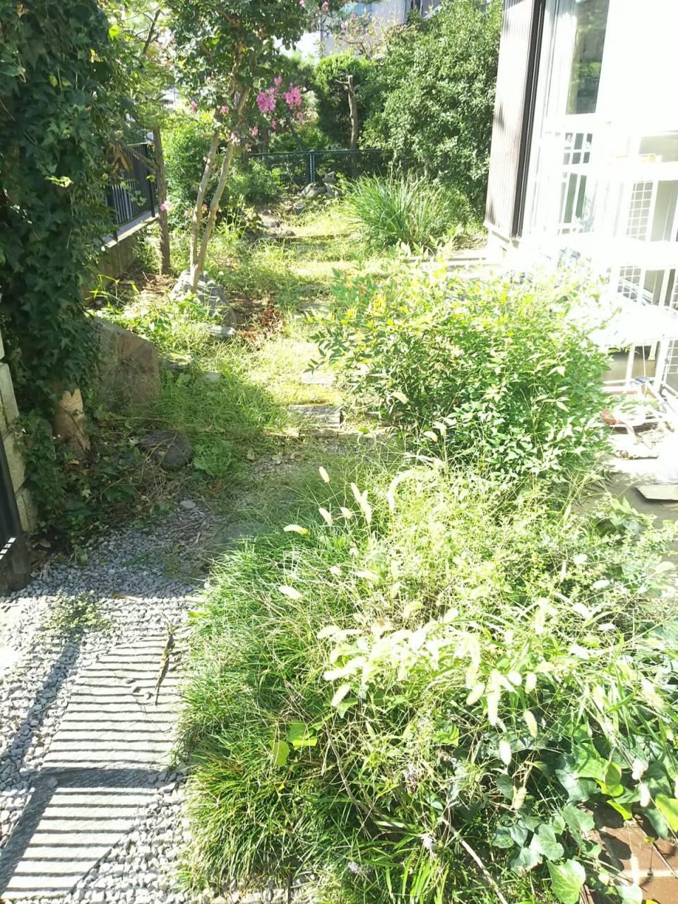 時間制定額(除草作業)