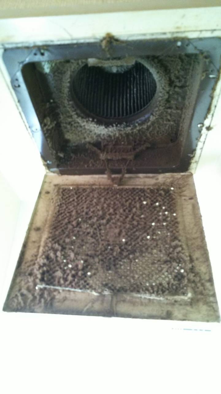 ホコリ+カビ+油(洗浄前)<br>汚れがMAXの最強です。