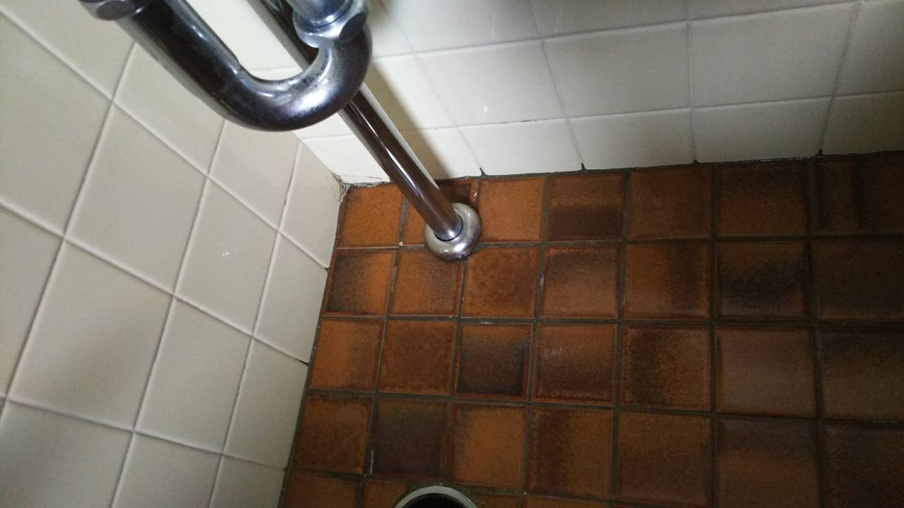 床(作業後)<br>カビを残さず洗浄