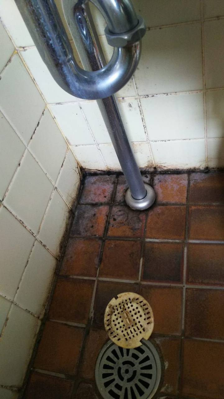 床(作業前)<br>カビだらけ