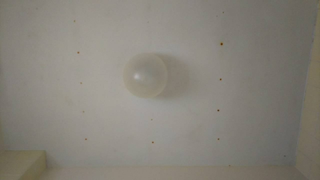 天井(作業後)<br>カビを洗浄で真っ白