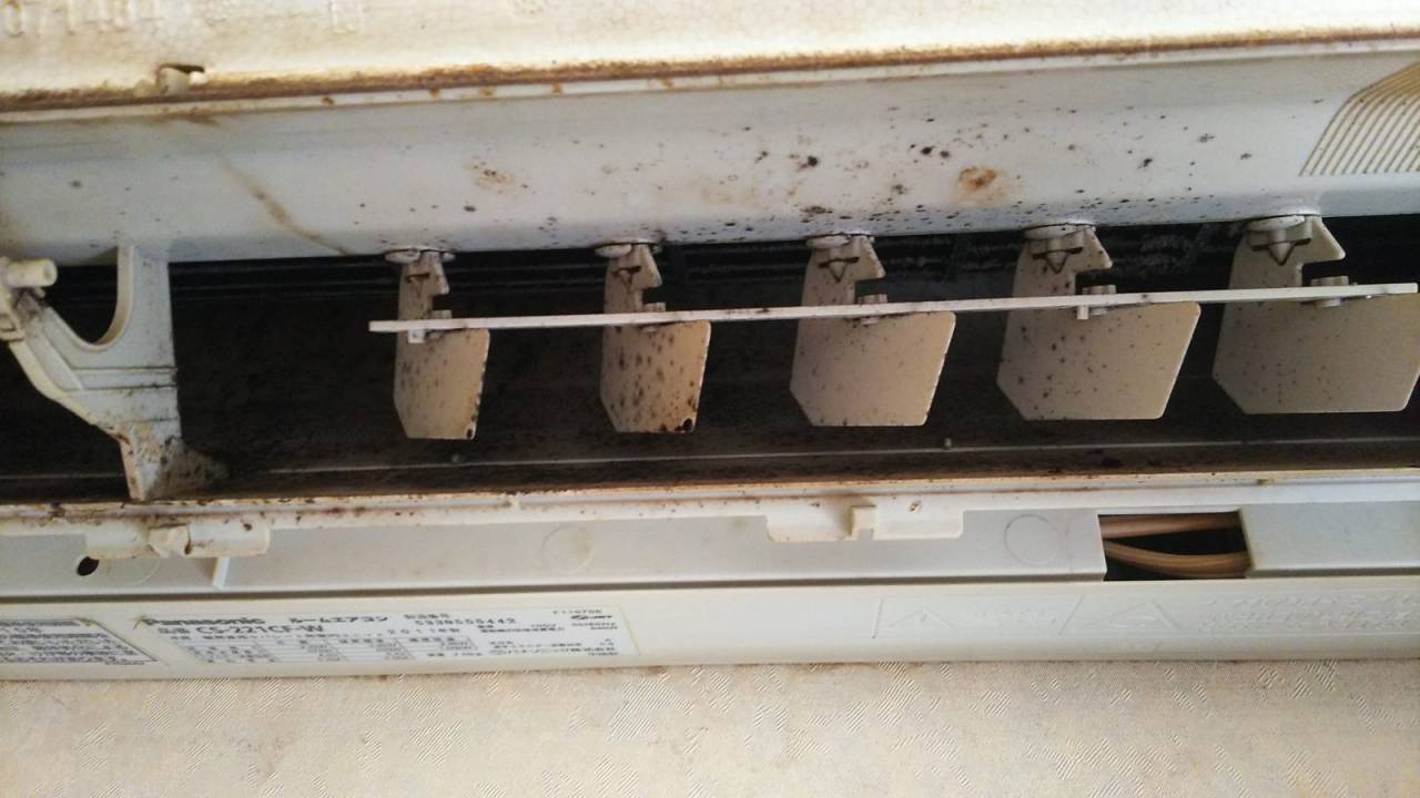  カビ(洗浄前)<br>1年前に洗浄したエアコンです。