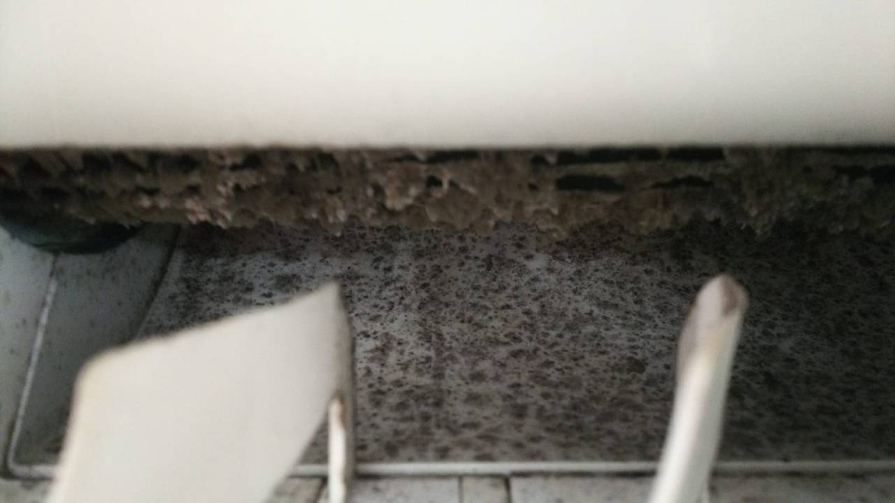 カビ・ホコリ(洗浄前)<br>約2年で、ホコリ・カビ汚れの状況です。