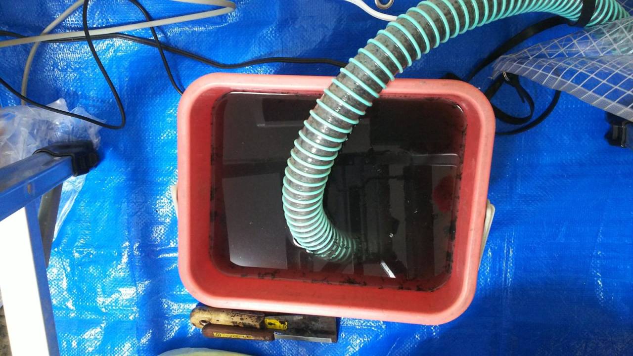 汚水<br>洗浄後の汚水です。カビが浮いていますね。