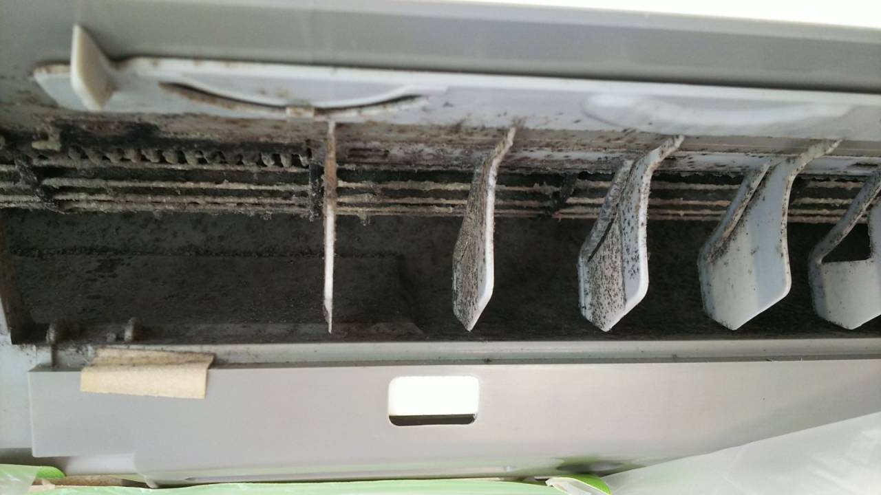 カビがビッシリです。<br>カビで凄い状況になっています。