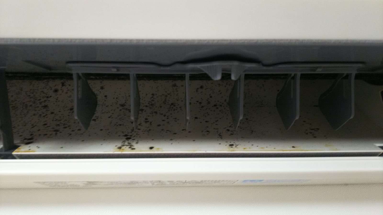 カビ・油！(洗浄前)<br>リビングのエアコンは油汚れに注意です。