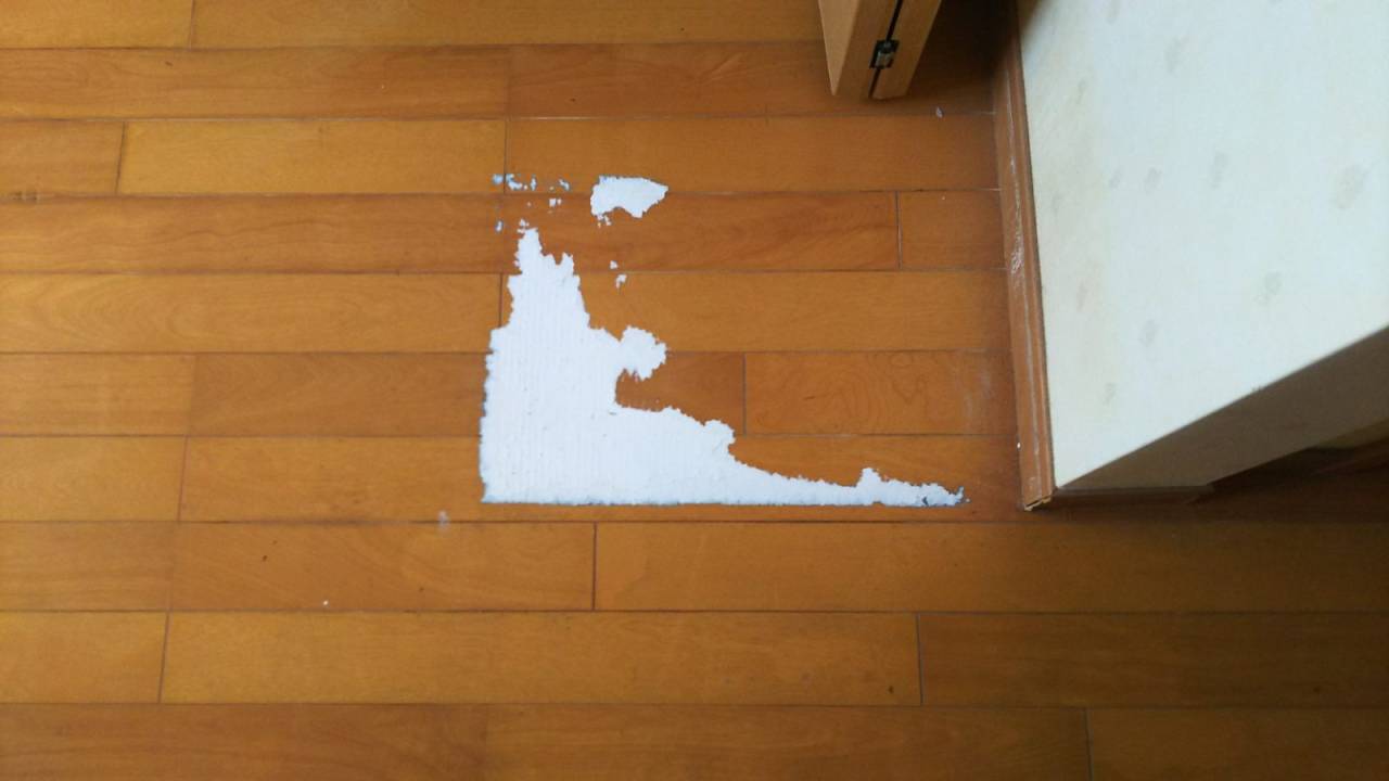 床洗浄前<br>床に貼っていた物を剥がした跡です。