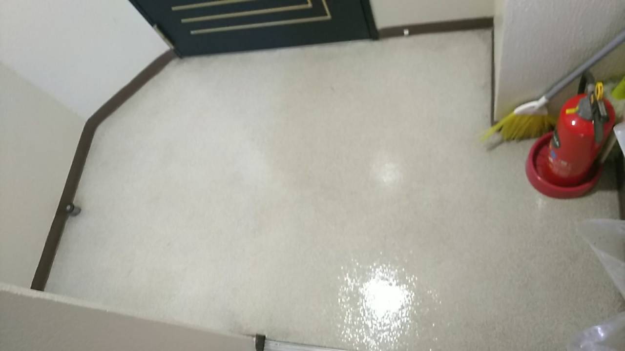 マンションの共用部分も<br>床洗浄+WAXでピカピカに！