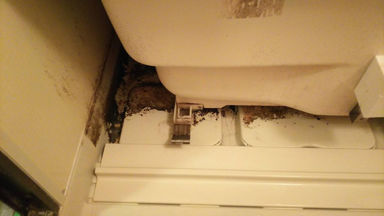 エプロン内部1<br>カビ・汚れが隠れています。