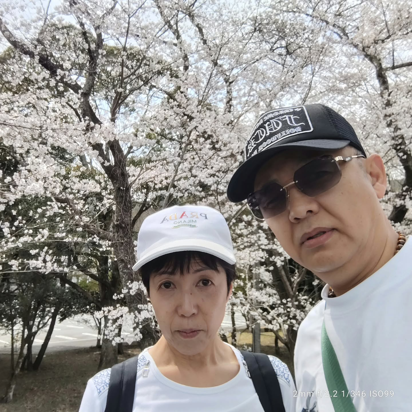 今日はとても特別な一日を過ごしました。