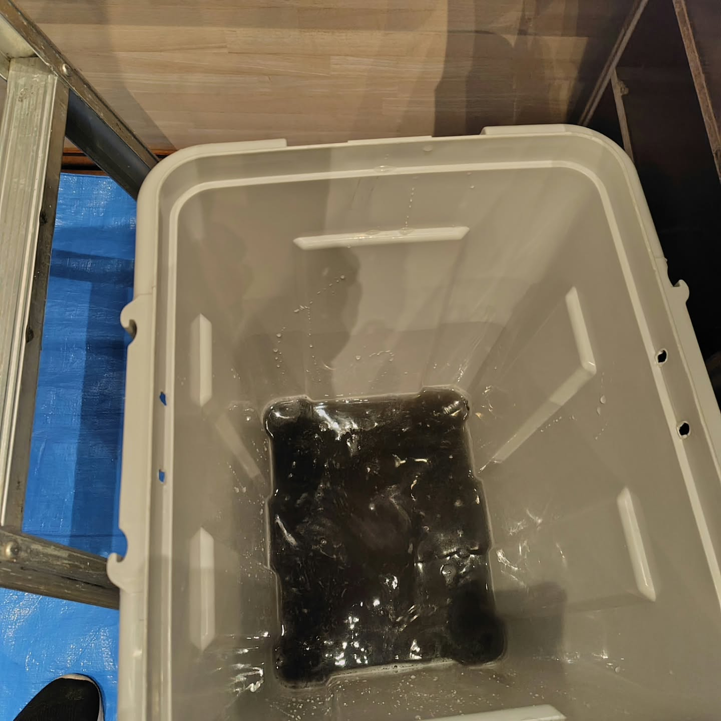 今日は、都内の協力店まで行き、お手伝いをしてきました。