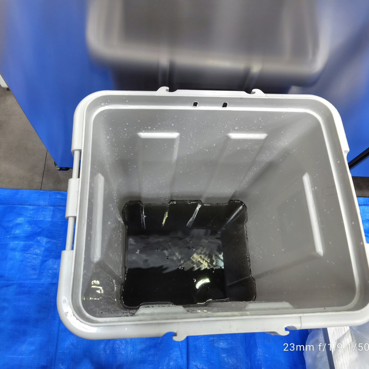 今日は、都内の協力店まで行き、お手伝いをしてきました。