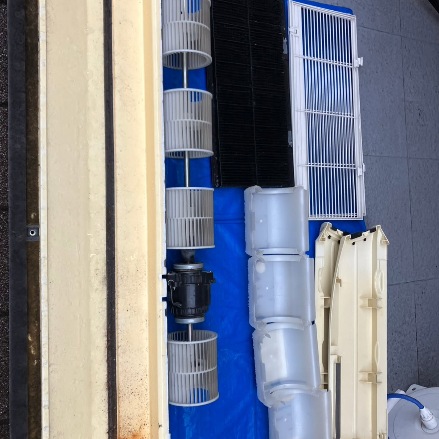 今日は、都内の協力店まで行き、お手伝いをしてきました。