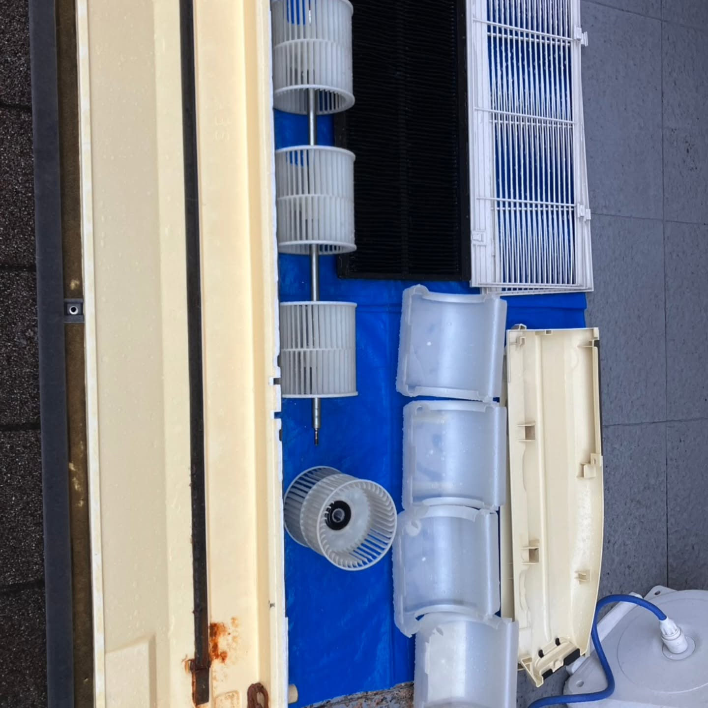 今日は、都内の協力店まで行き、お手伝いをしてきました。