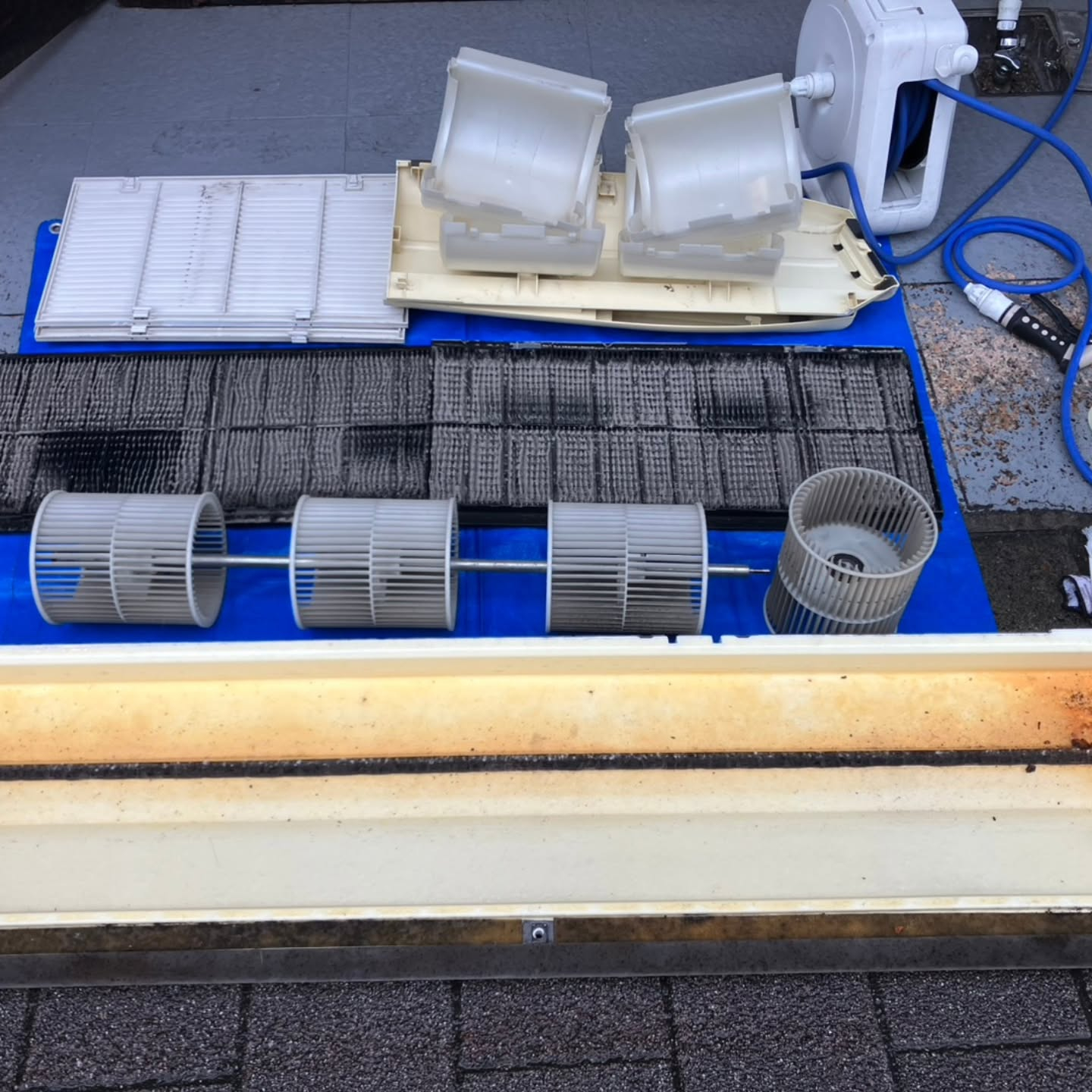 今日は、都内の協力店まで行き、お手伝いをしてきました。