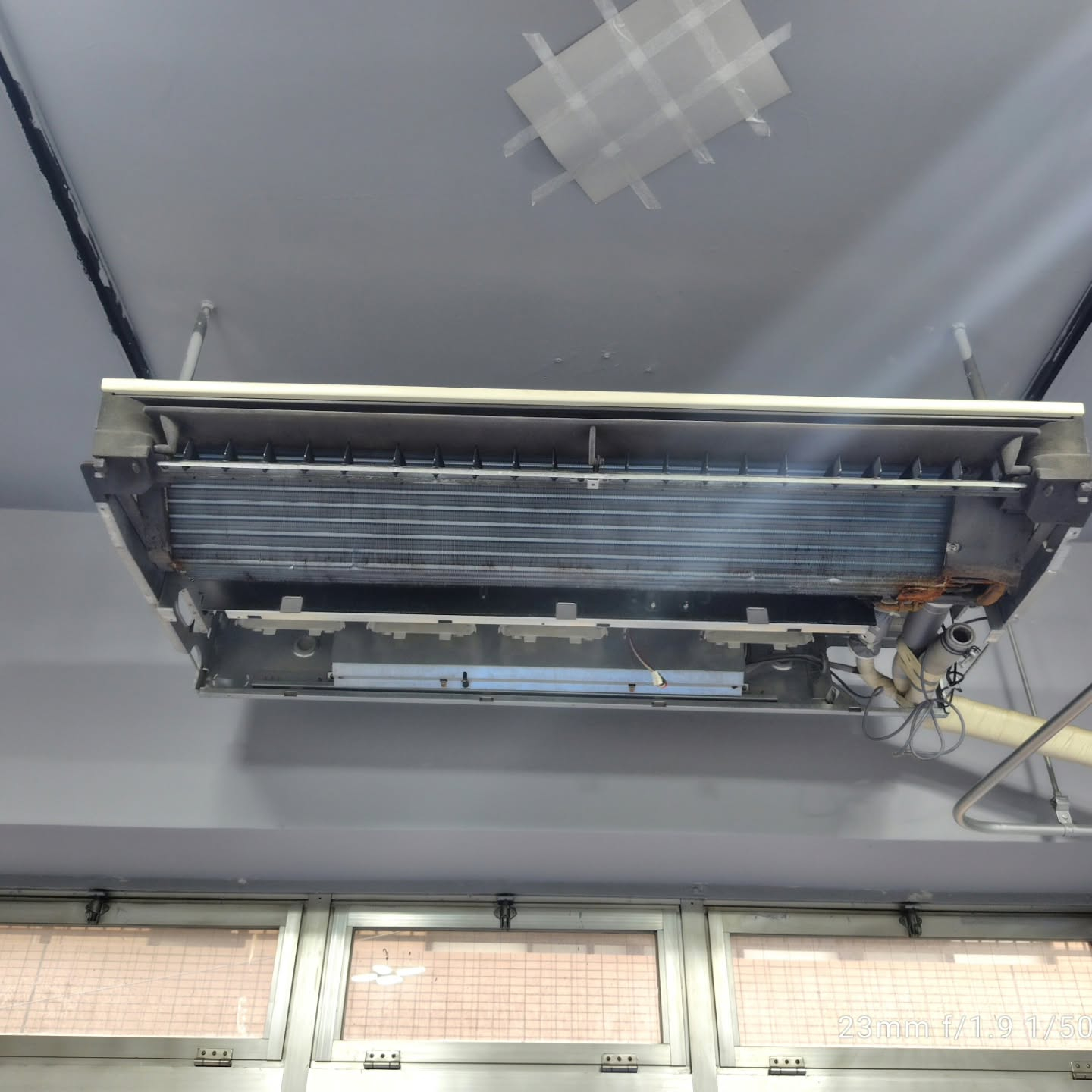 今日は、都内の協力店まで行き、お手伝いをしてきました。