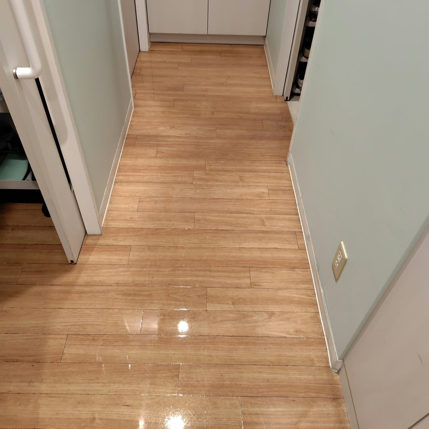 今日は昨日に引き続き、夕方から4件の歯医者さんの床清掃を担当...