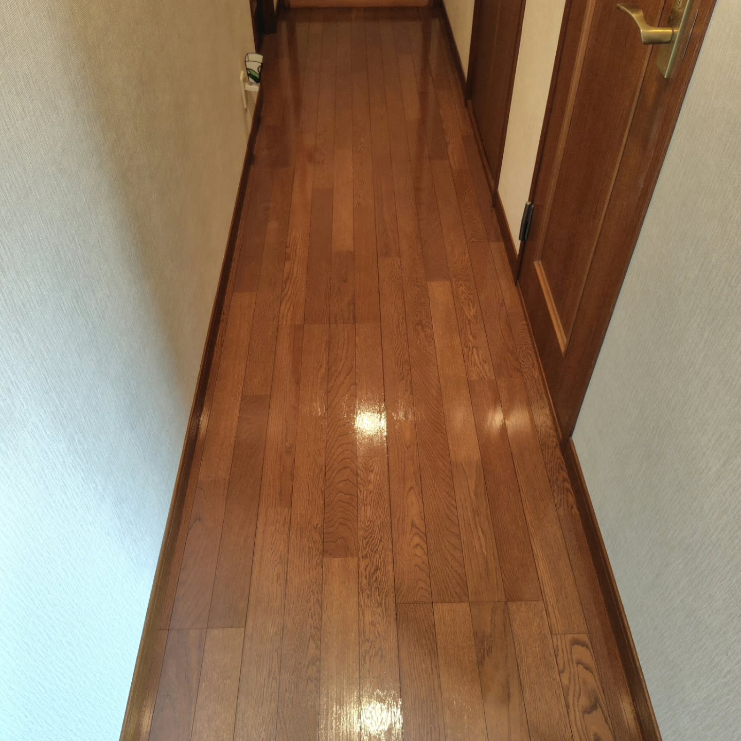 本日は築30年の戸建て住宅の床清掃を担当いたしました。