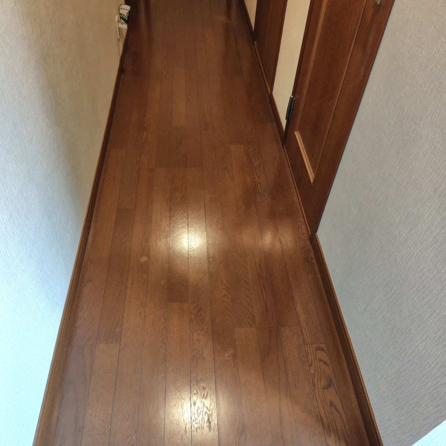 本日は築30年の戸建て住宅の床清掃を担当いたしました。