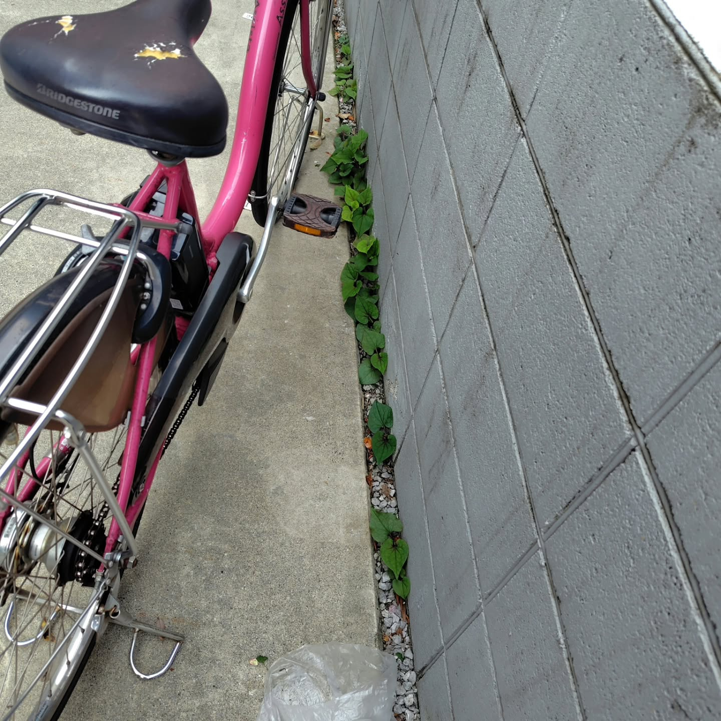 練馬区にある集合住宅で、2ヶ月に1度実施している定期清掃を行...