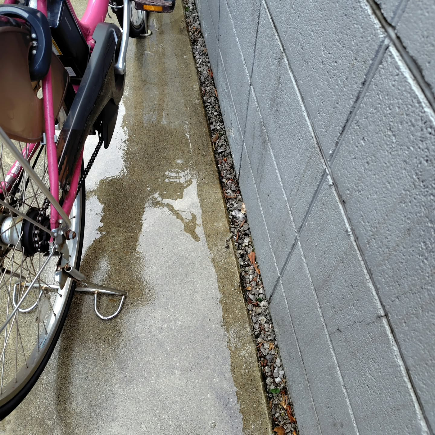 練馬区にある集合住宅で、2ヶ月に1度実施している定期清掃を行...