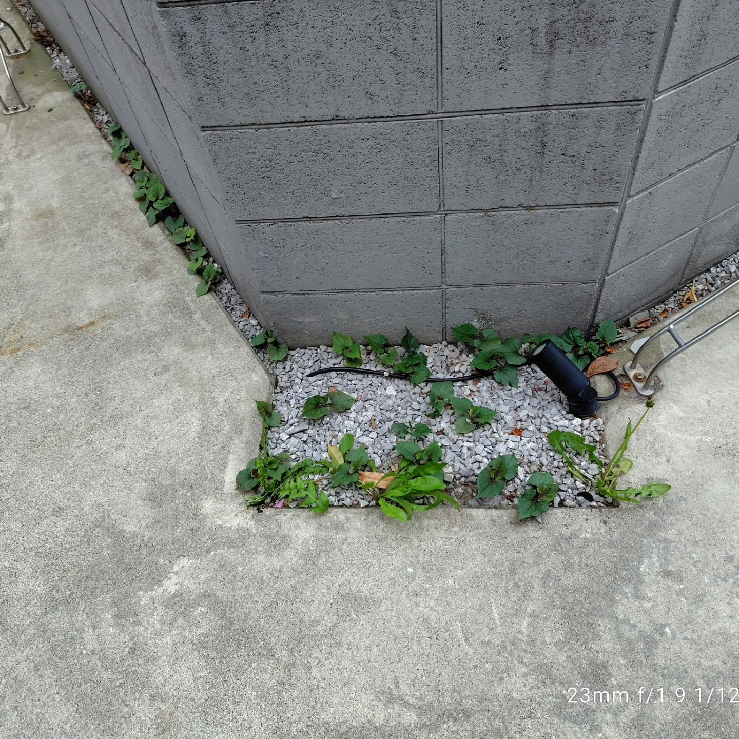 練馬区にある集合住宅で、2ヶ月に1度実施している定期清掃を行...