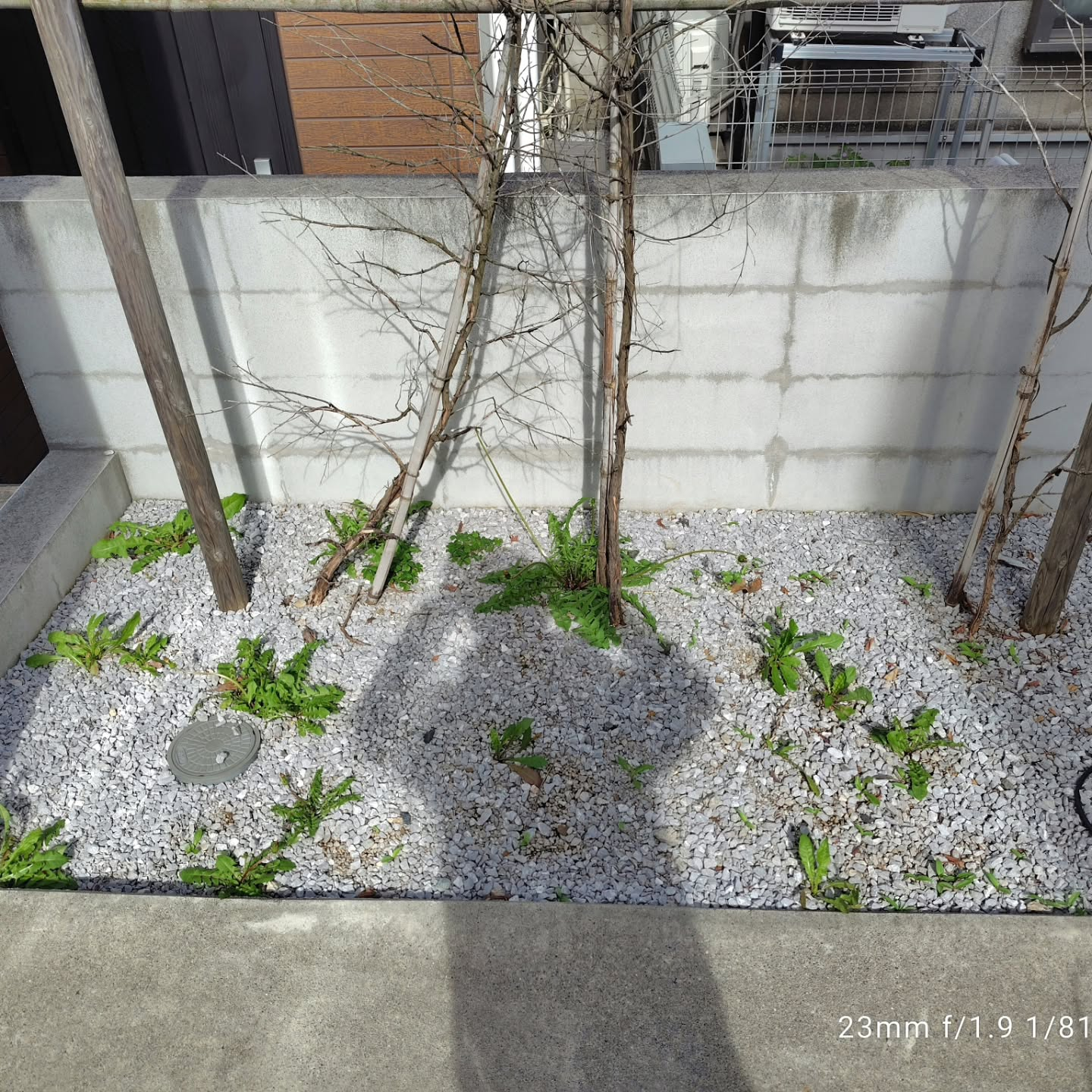 練馬区にある集合住宅で、2ヶ月に1度実施している定期清掃を行...