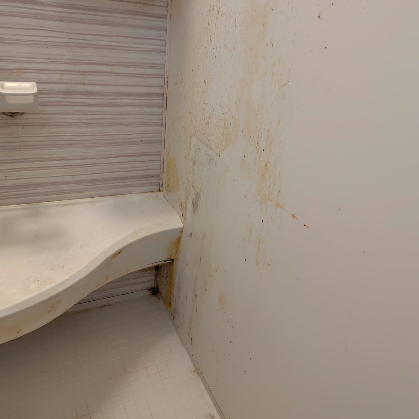 越谷市でお風呂の清掃を承りました。