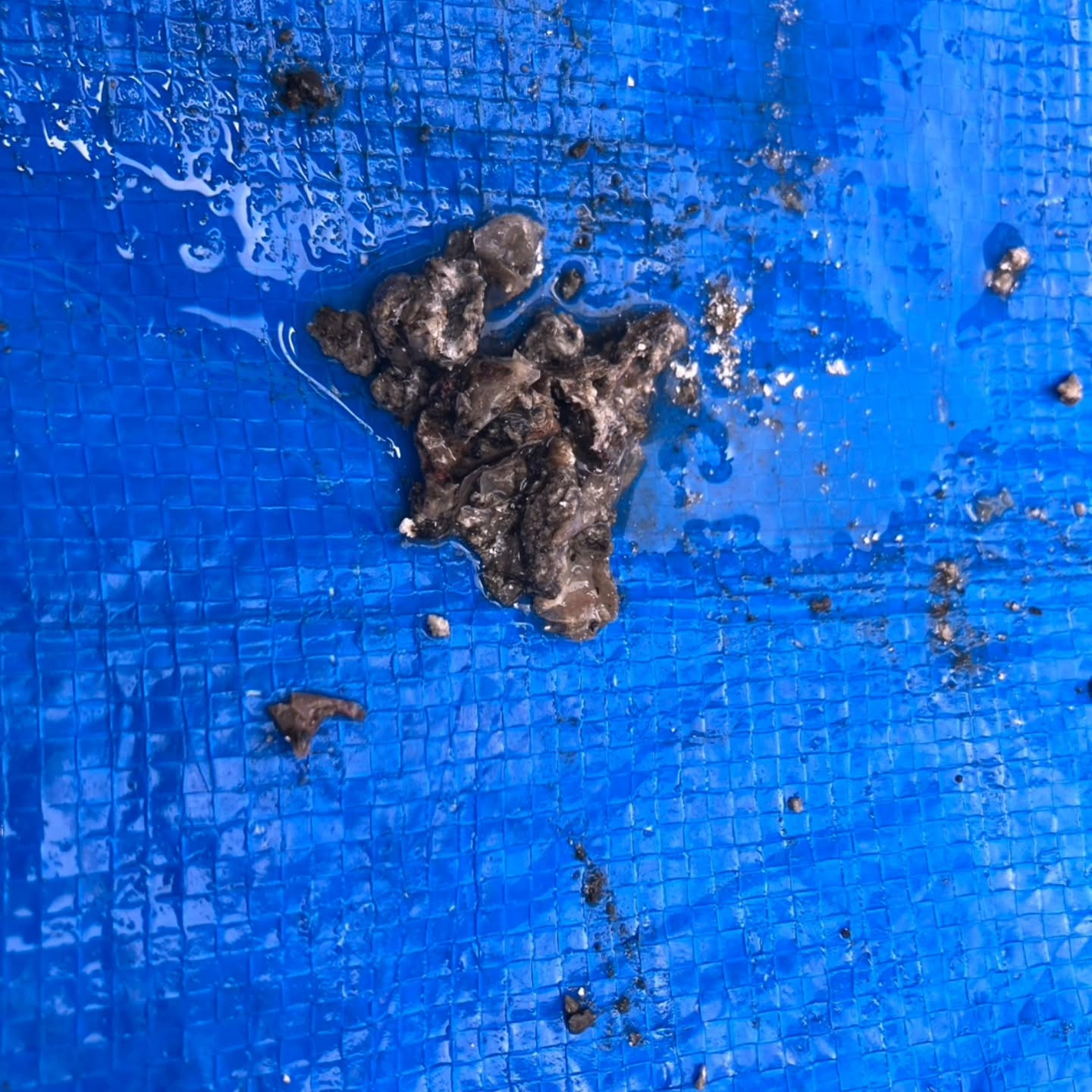 越谷市での作業の際に、エアコンの水漏れが問題となっているお客...