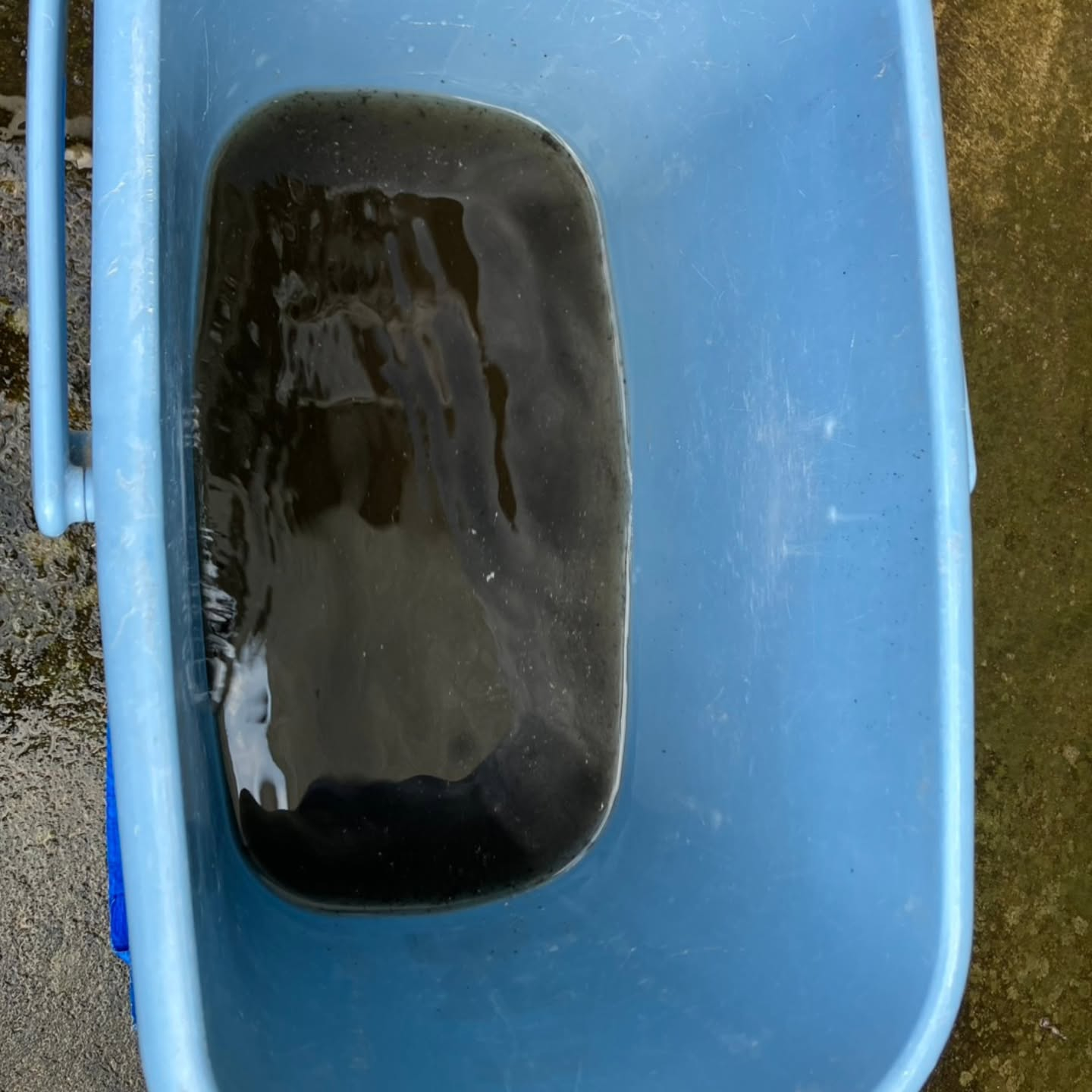 流山市にてエアコンクリーニングを2台施工させていただきました...