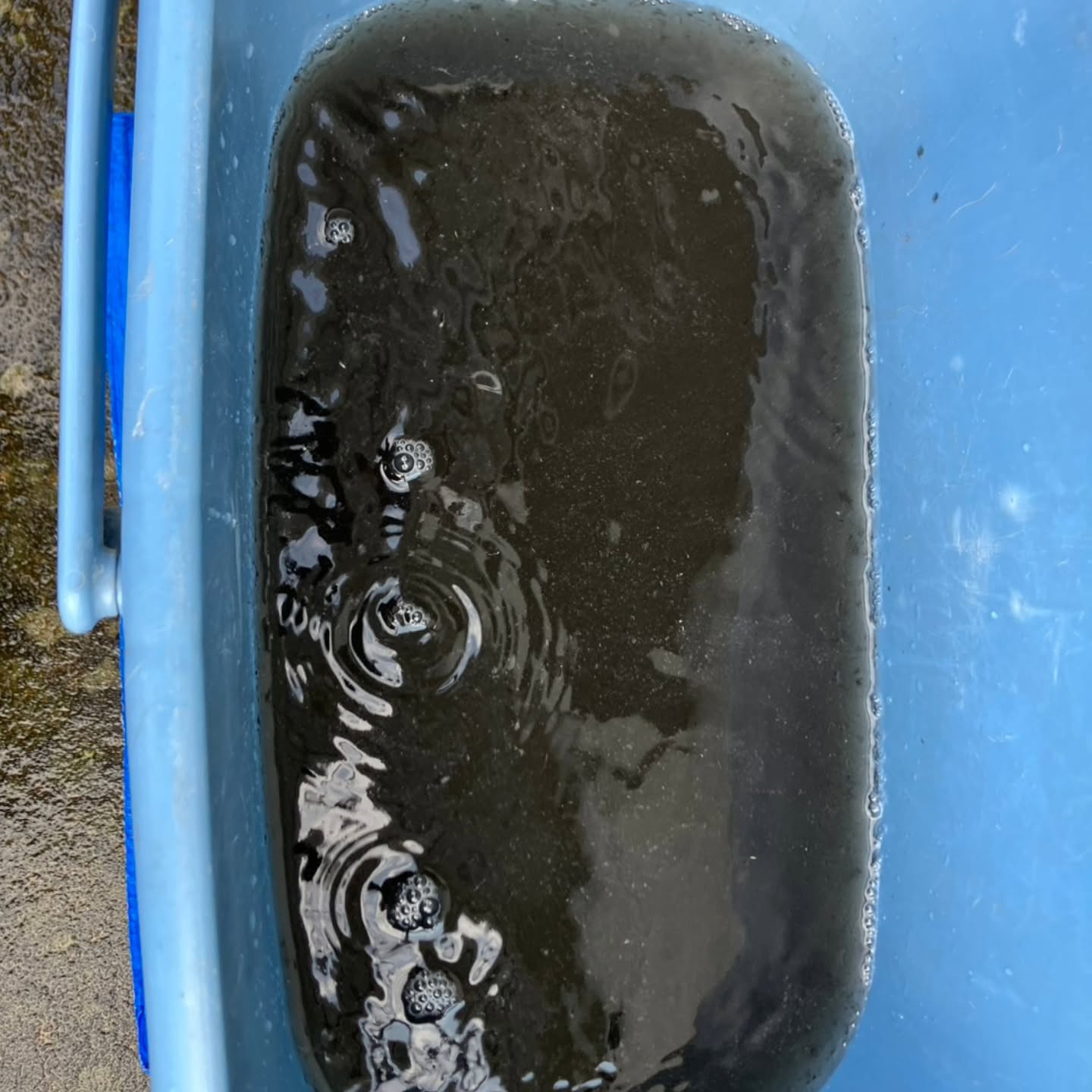 流山市にてエアコンクリーニングを2台施工させていただきました...