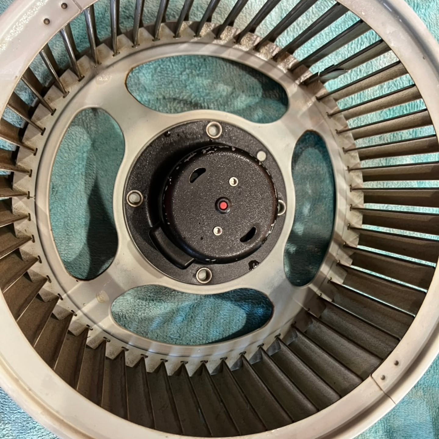 キッチンのレンジフードに付着したベタベタの油汚れ、なかなかす...