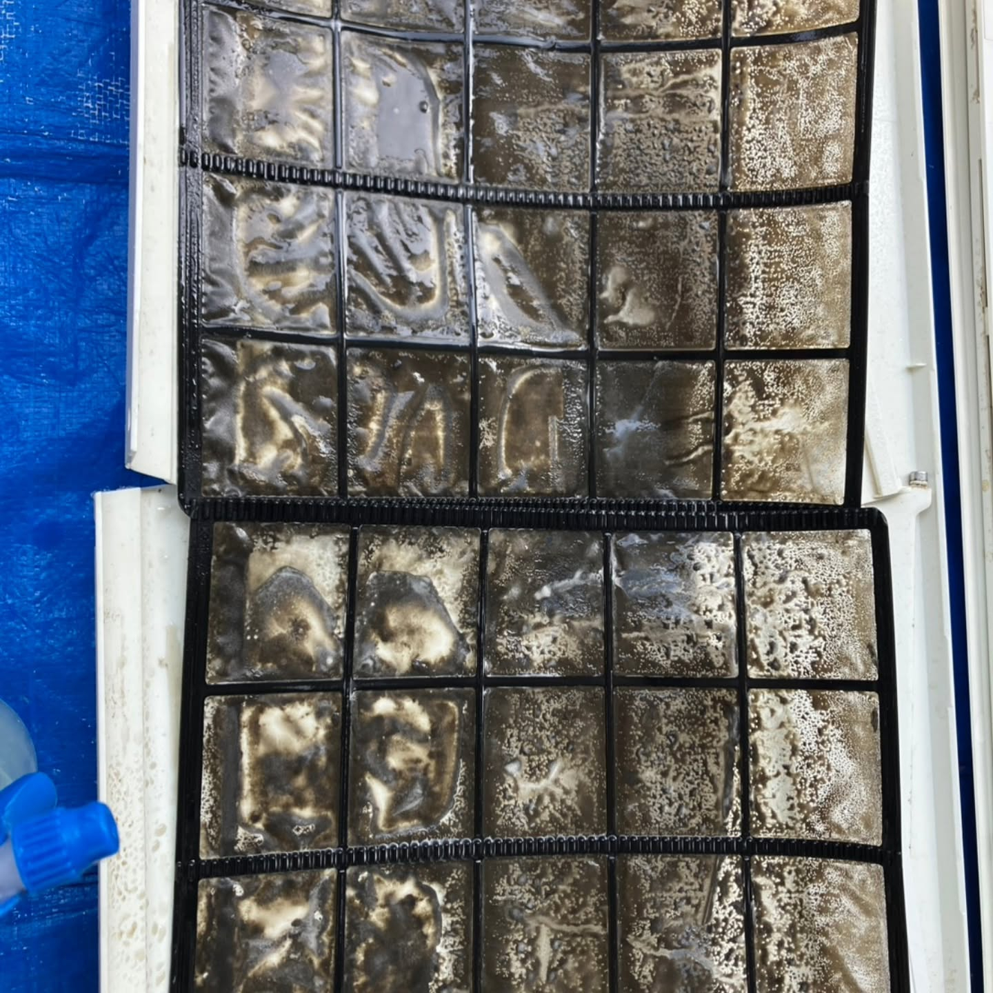 川口市でリビングのエアコンクリーニングを行いました。