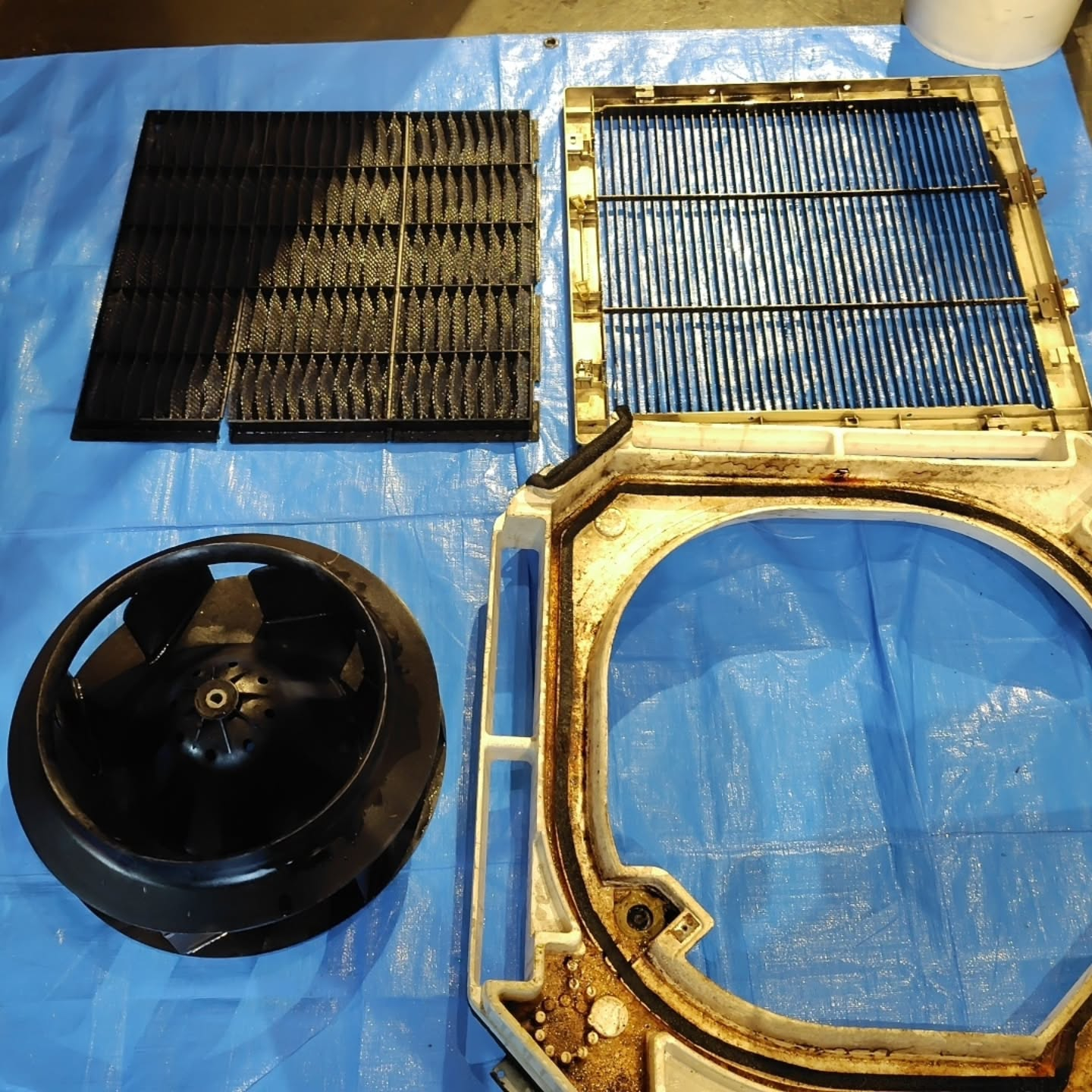 本日は、おそうじ革命足立西新井店の柳川さんの現場に応援に行き...