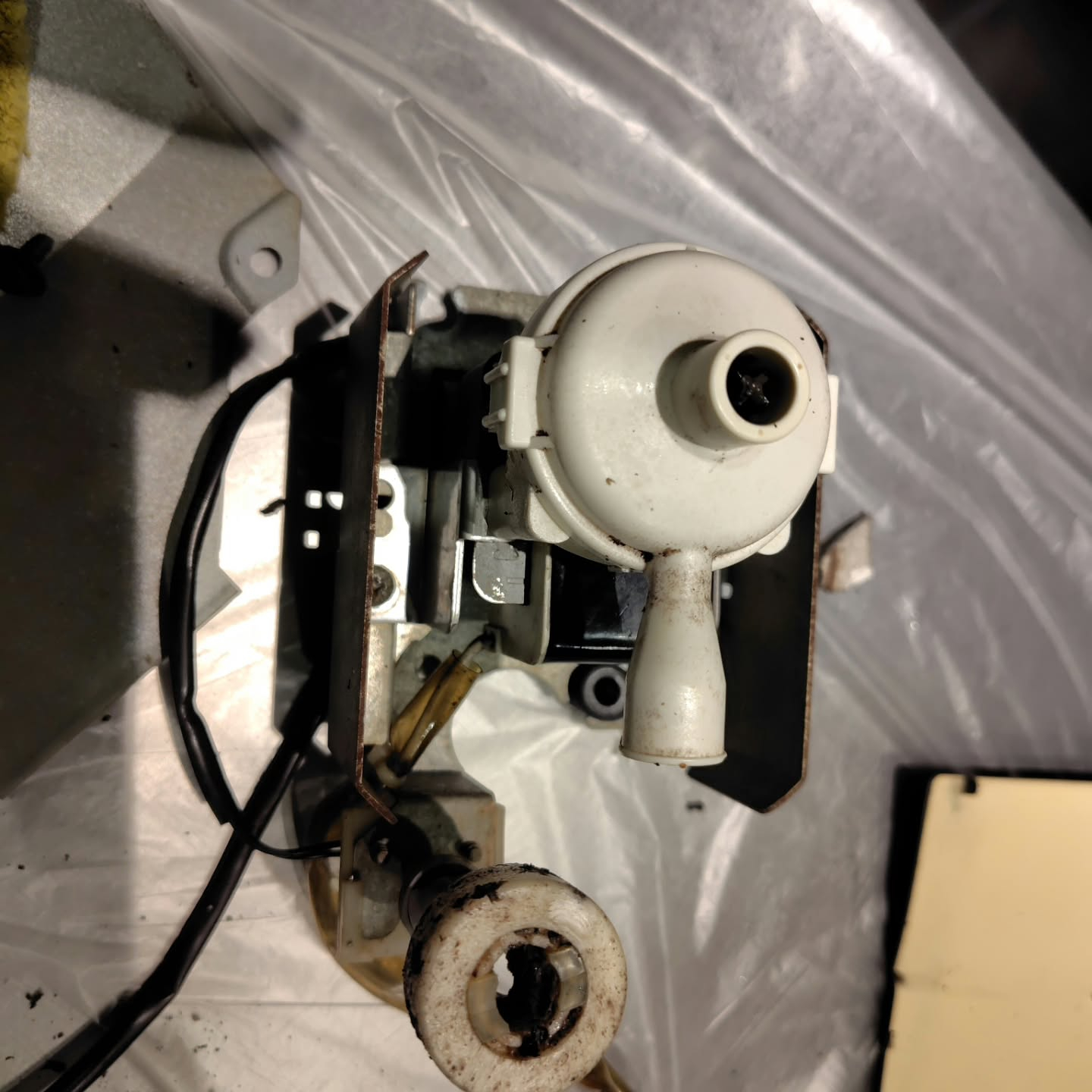 本日は、おそうじ革命足立西新井店の柳川さんの現場に応援に行き...