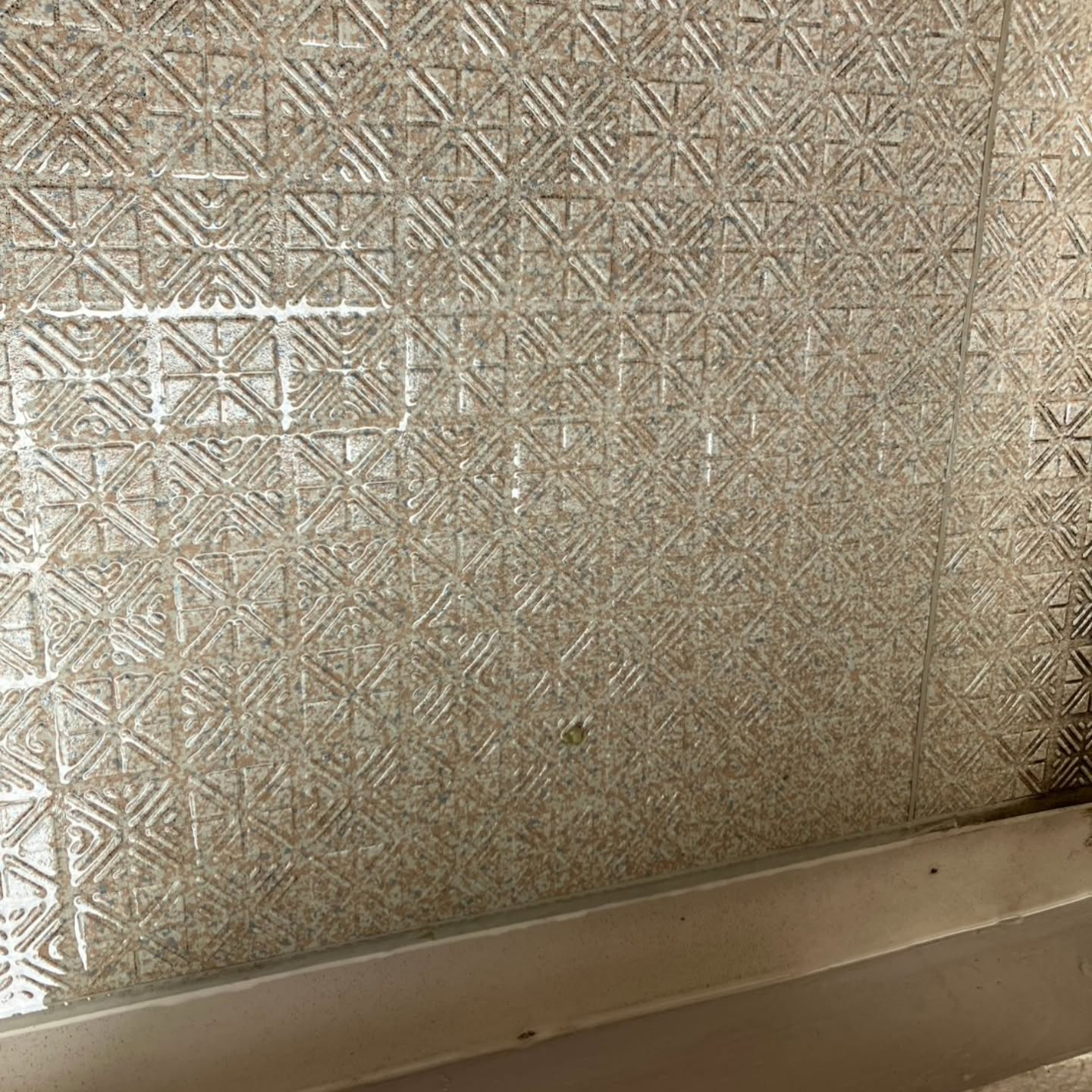 暑くなる前にベランダを綺麗にしませんか！越谷市で行ったベラン...