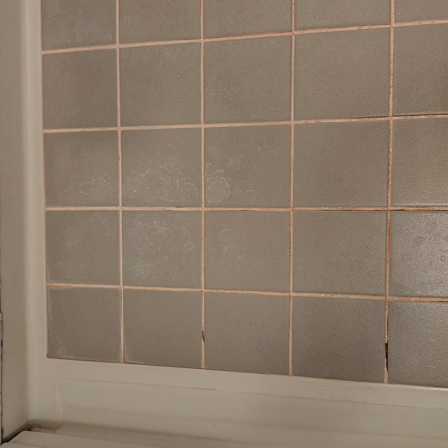 越谷市で退去後の空室清掃を実施いたしました。