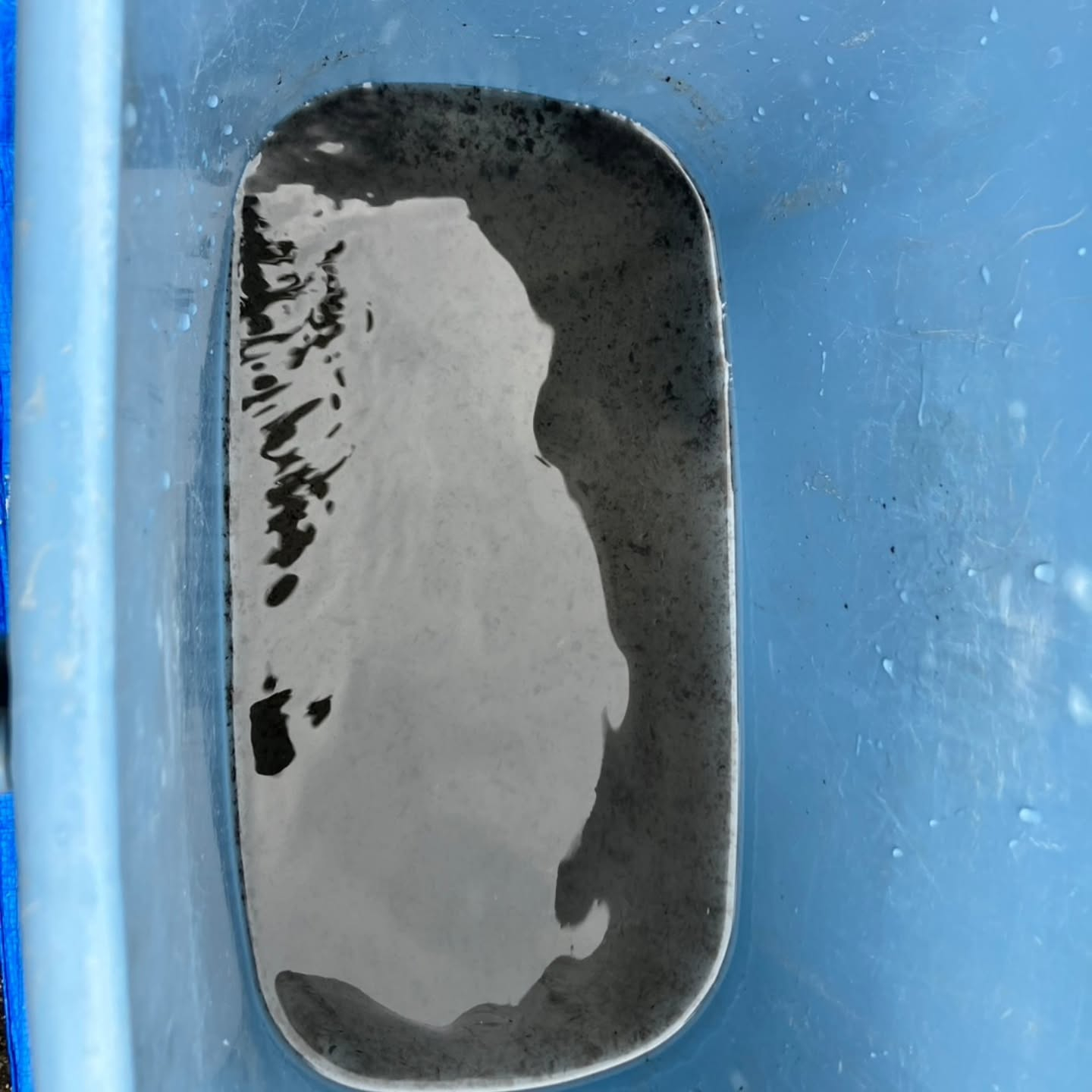 本日は越谷市にお住まいのお客様より、エアコンクリーニングのご...