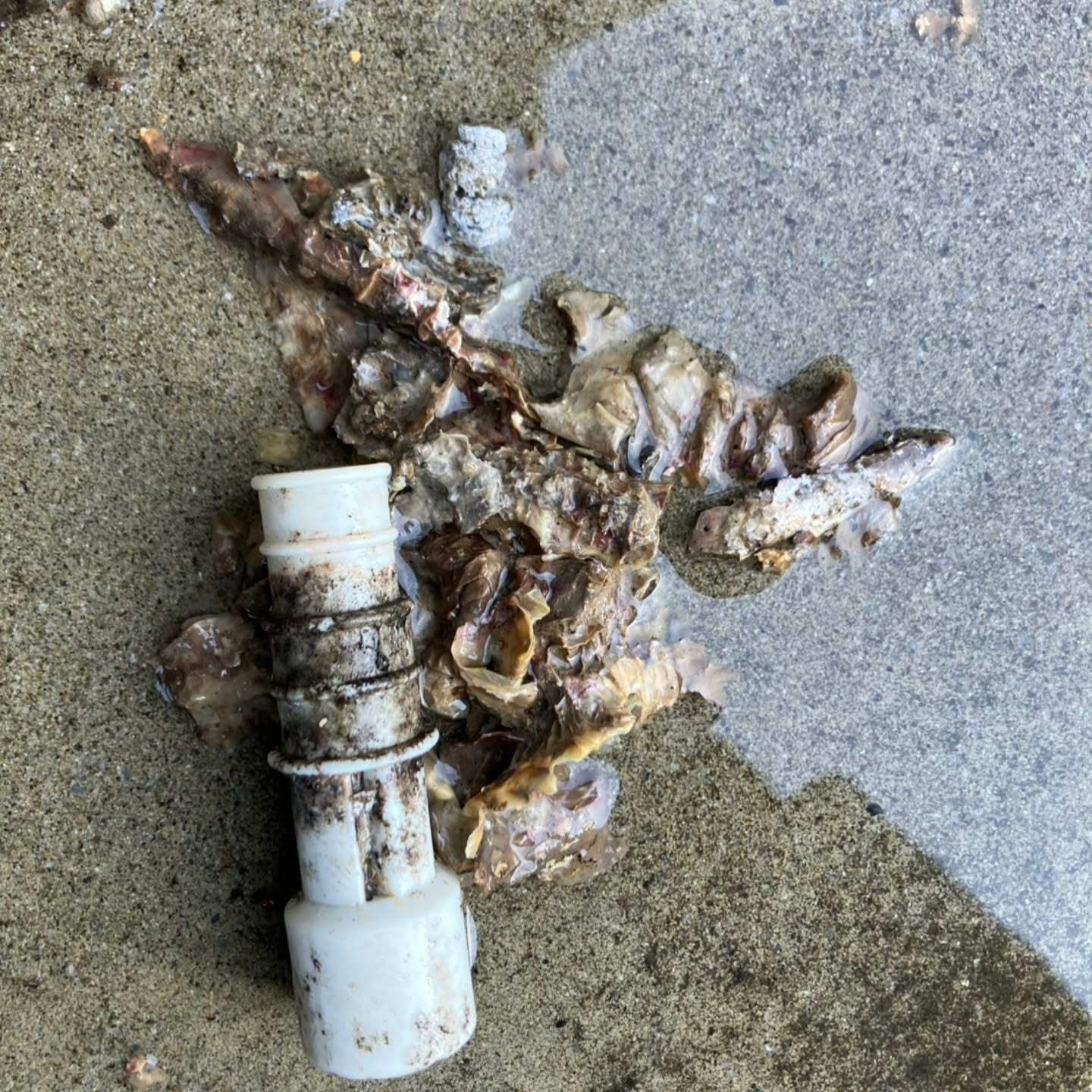 エアコンの水漏れトラブルの原因として、最も多いのはドレンホー...