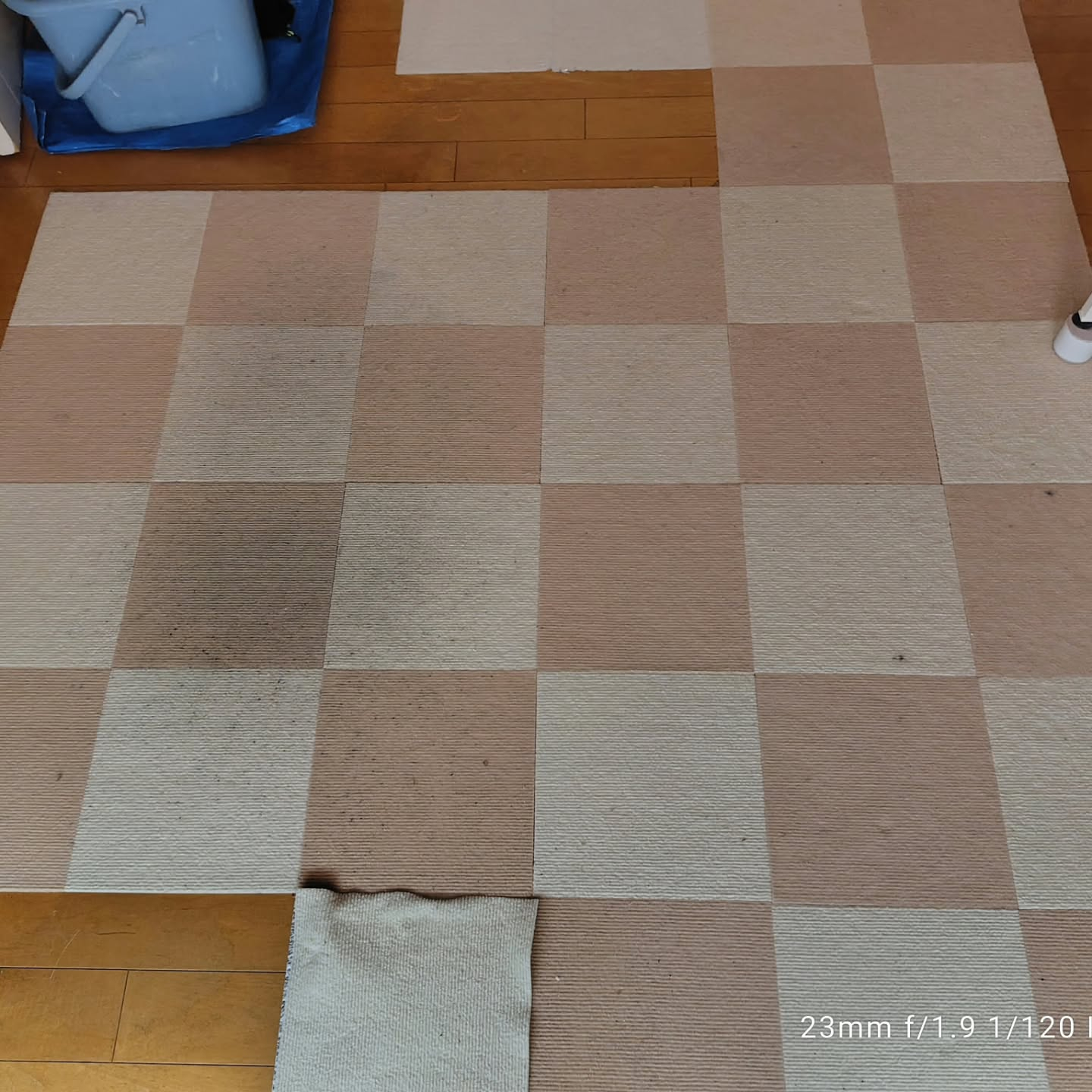 さいたま市のお客様から、古くなったフロアーカーペットの剥がし...