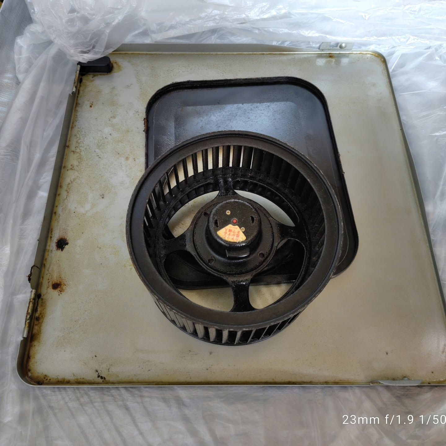 越谷市でレンジフードとエアコンのお掃除サービスのご依頼をいた...