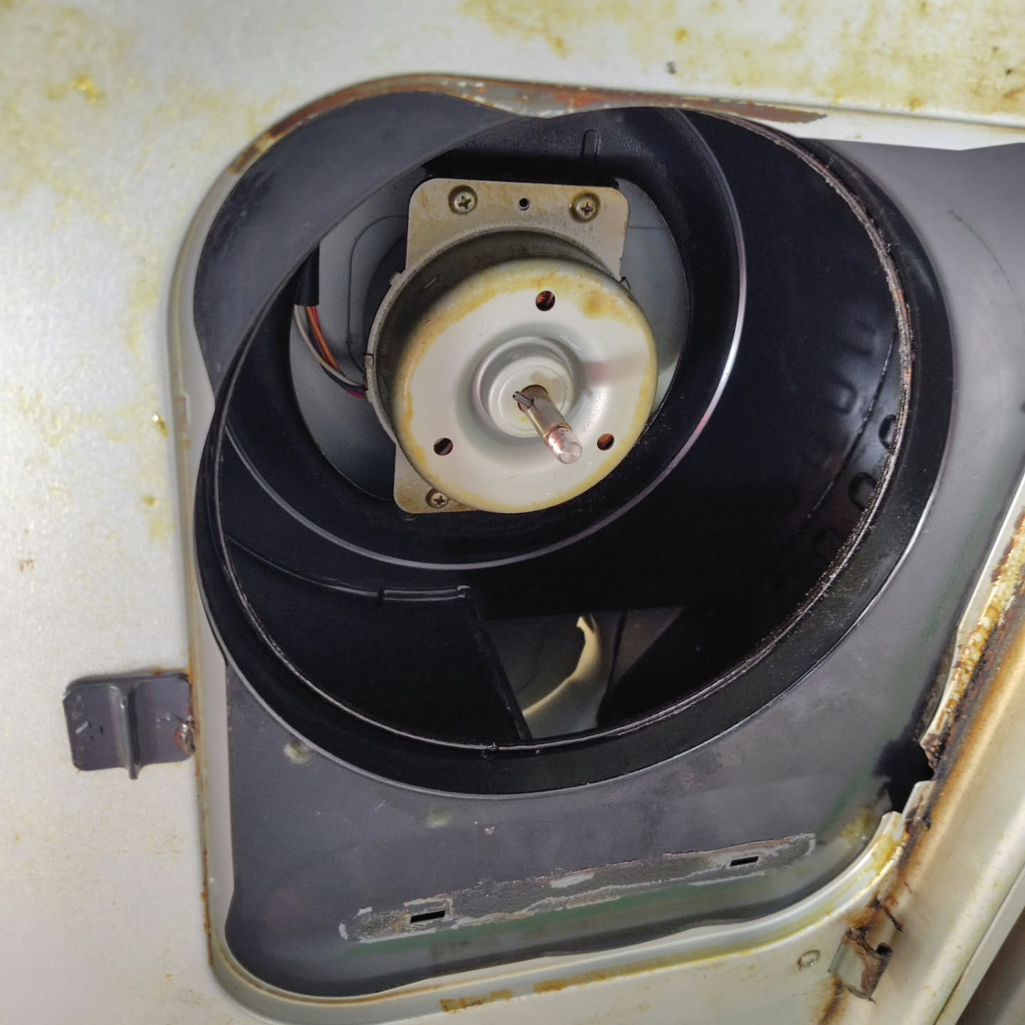 キッチンのレンジフード、見えない油汚れや吸い込み力の低下を実...