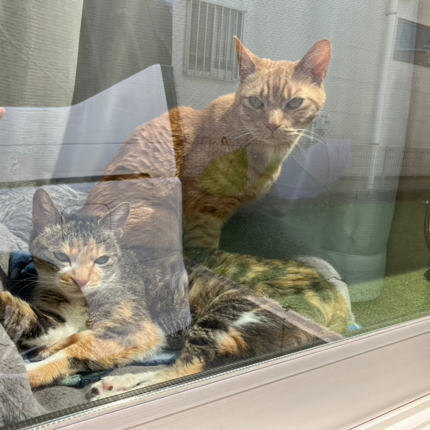 エアコンクリーニング後に風速が2倍以上に戻りました。