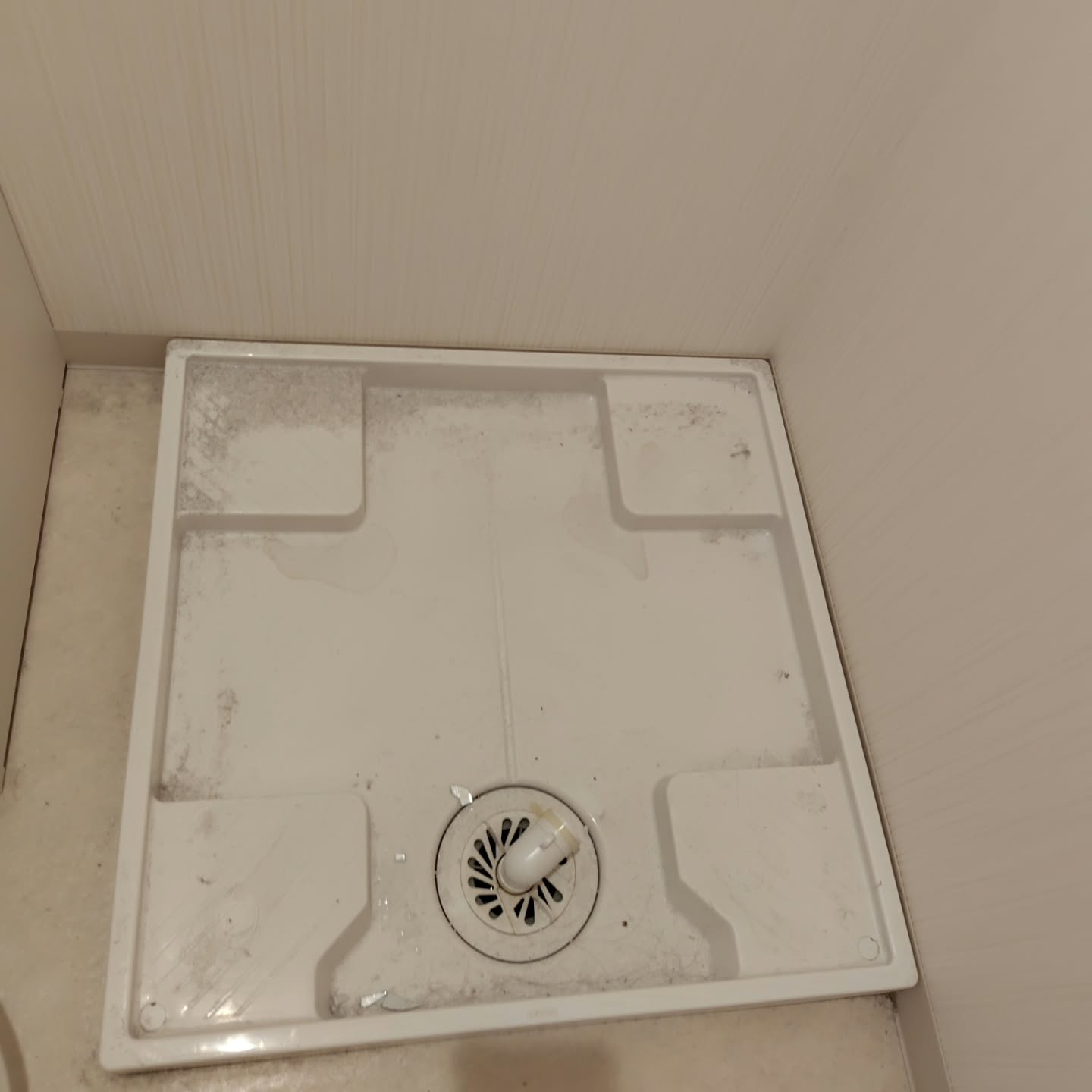 お急ぎの退去後空室クリーニングに対応させていただきました。