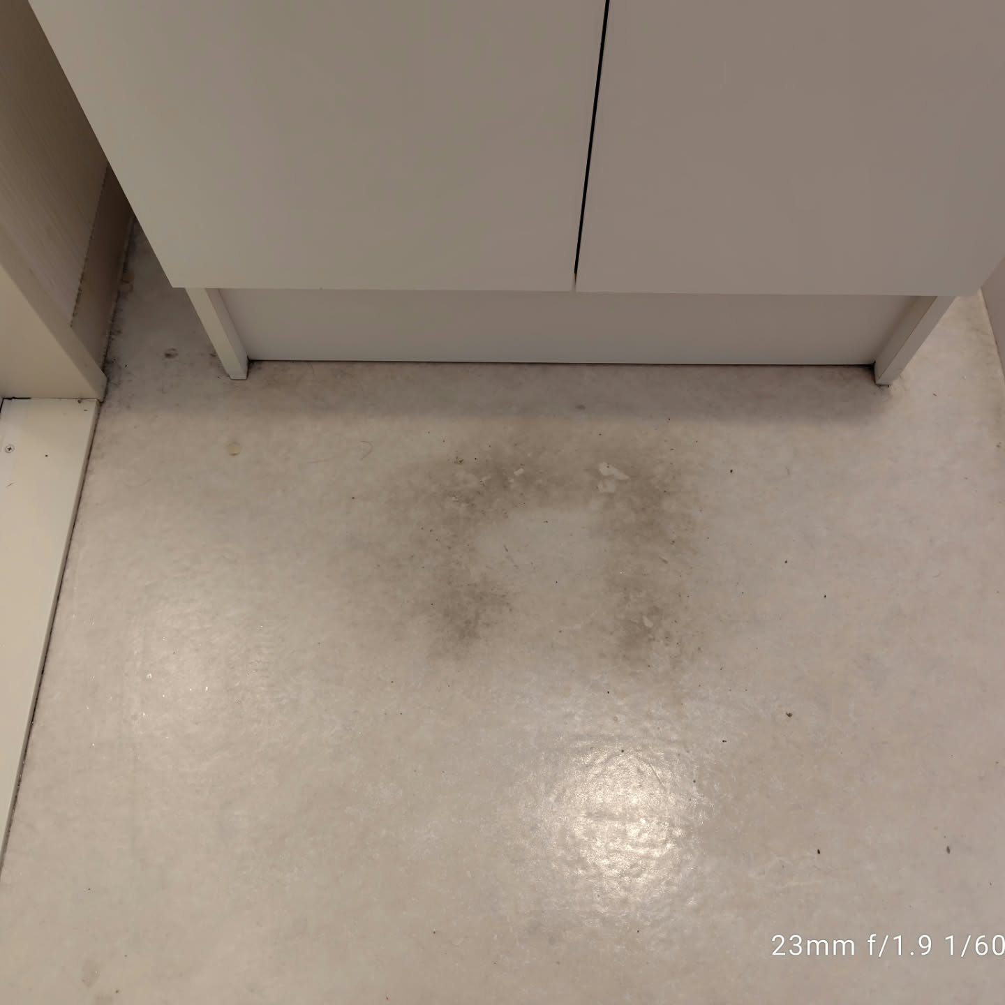 お急ぎの退去後空室クリーニングに対応させていただきました。