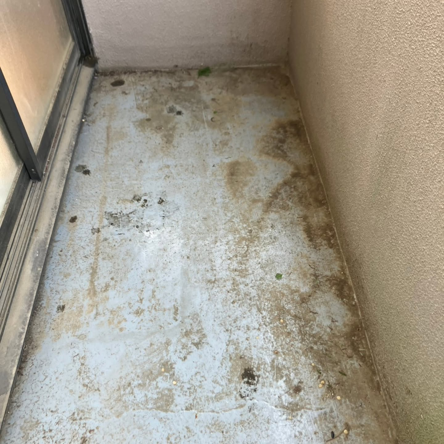 朝からの作業が無事に終わり、ホッとひと息ついています。