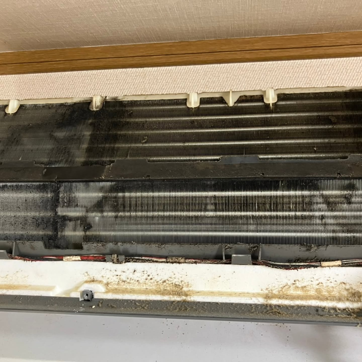 レンジフードの役割を過小評価することはできません。