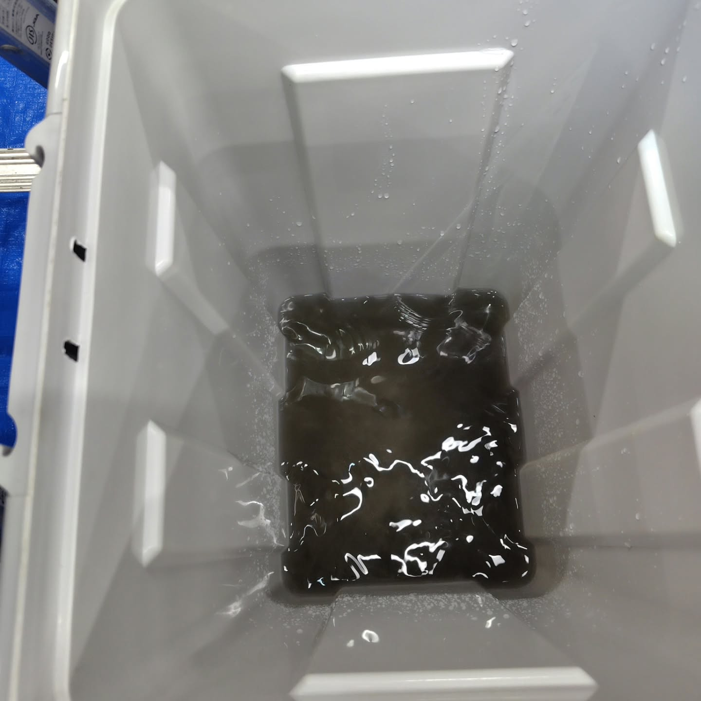 本日は業務用エアコンのメンテナンスを行っています。