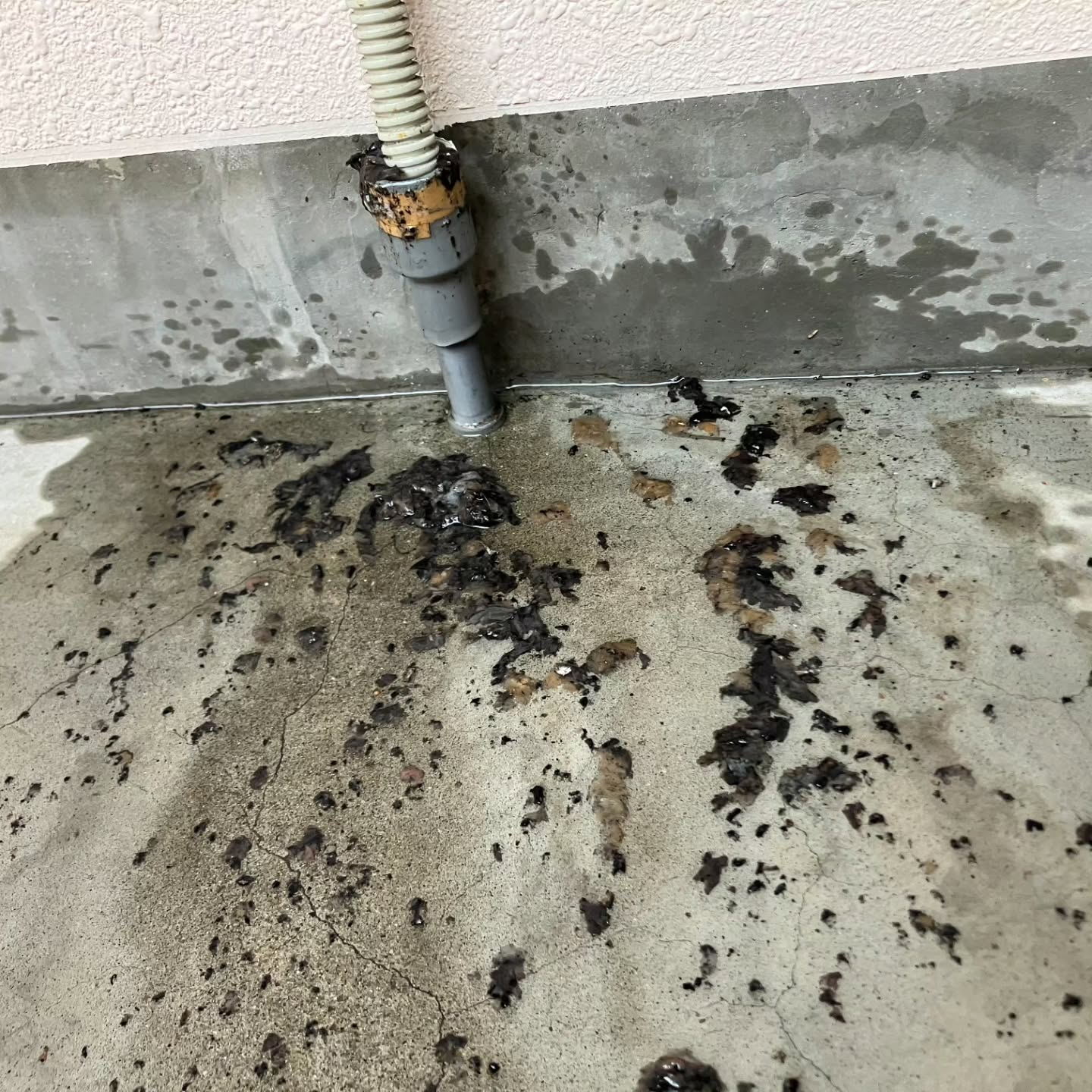 急なご依頼にも対応可能です。
